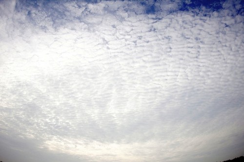 鱗雲