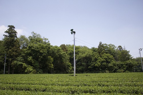 茶畑の霜対策扇風機