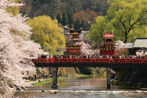 桜咲く春の飛騨高山祭