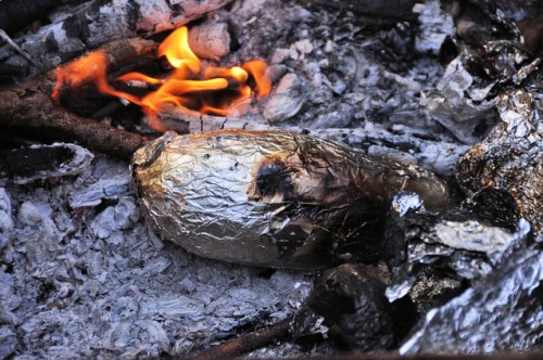 焚き火で焼き芋