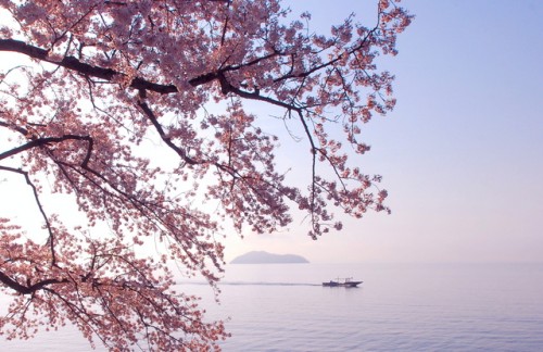 琵琶湖竹生島