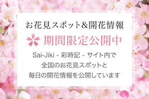 お花見スポット開花情報公開中